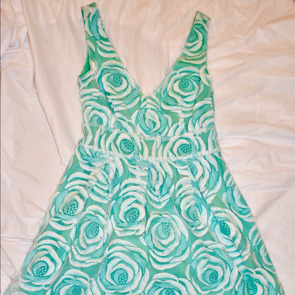 Sea foam Green Rose Dress